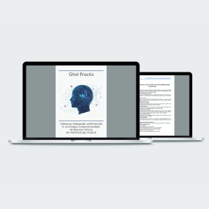 Ghid practic Utilizare inteligenței artificiale (AI) în activitatea compartimentelor de Resurse Umane din Administrația Publică